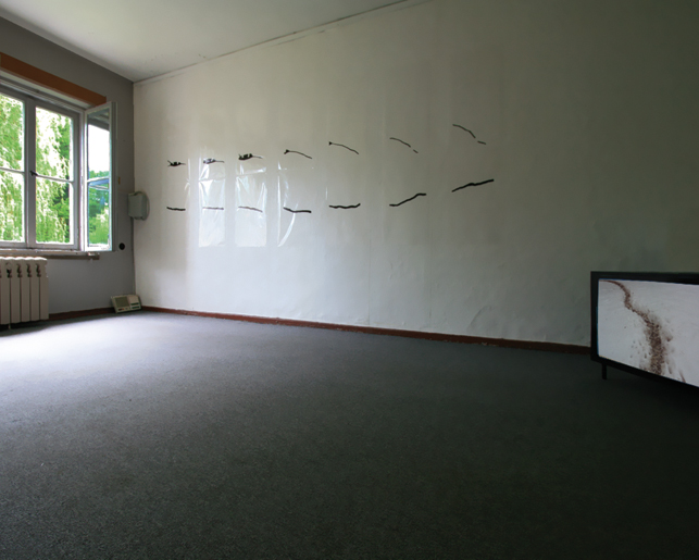 Ausstellungsansicht, Zeitgänge 2010, Gut Weitendorf (Rostock-Laage) 